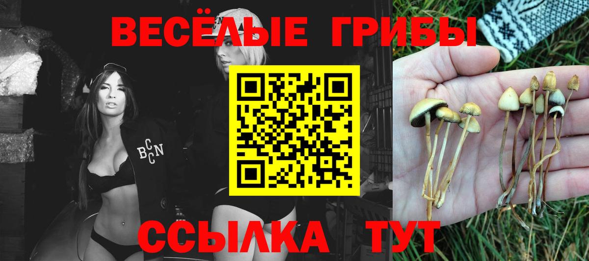 Галлюциногенные грибы MAGIC MUSHROOMS  Вход с VPN  Заринск 